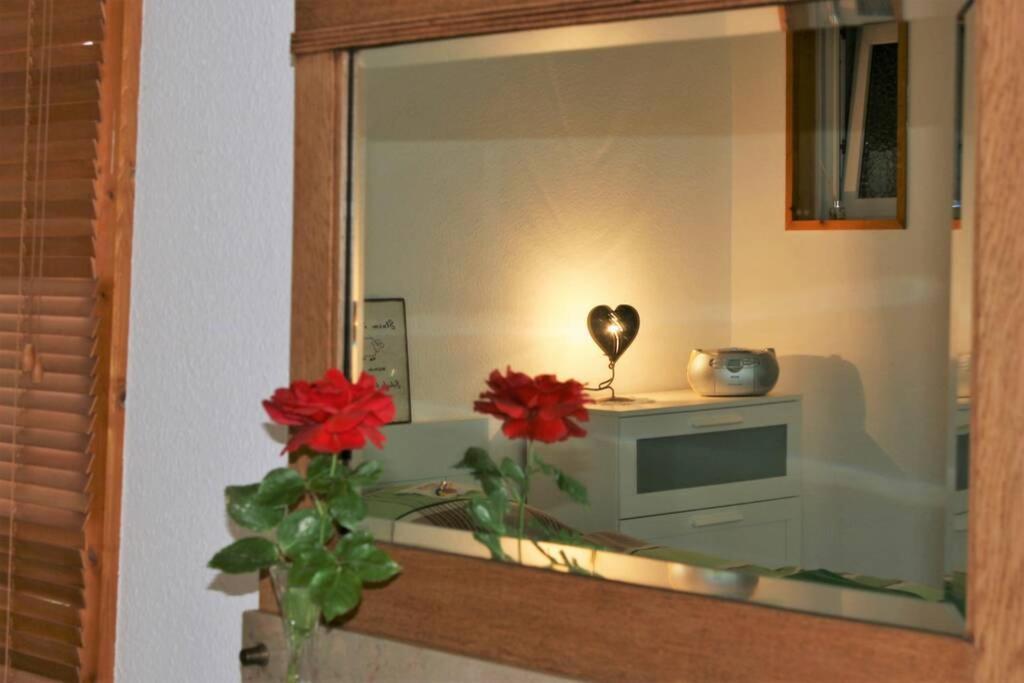 Gemuetliches Grosszuegiges Apartment ヘール・グレンツハウゼン エクステリア 写真